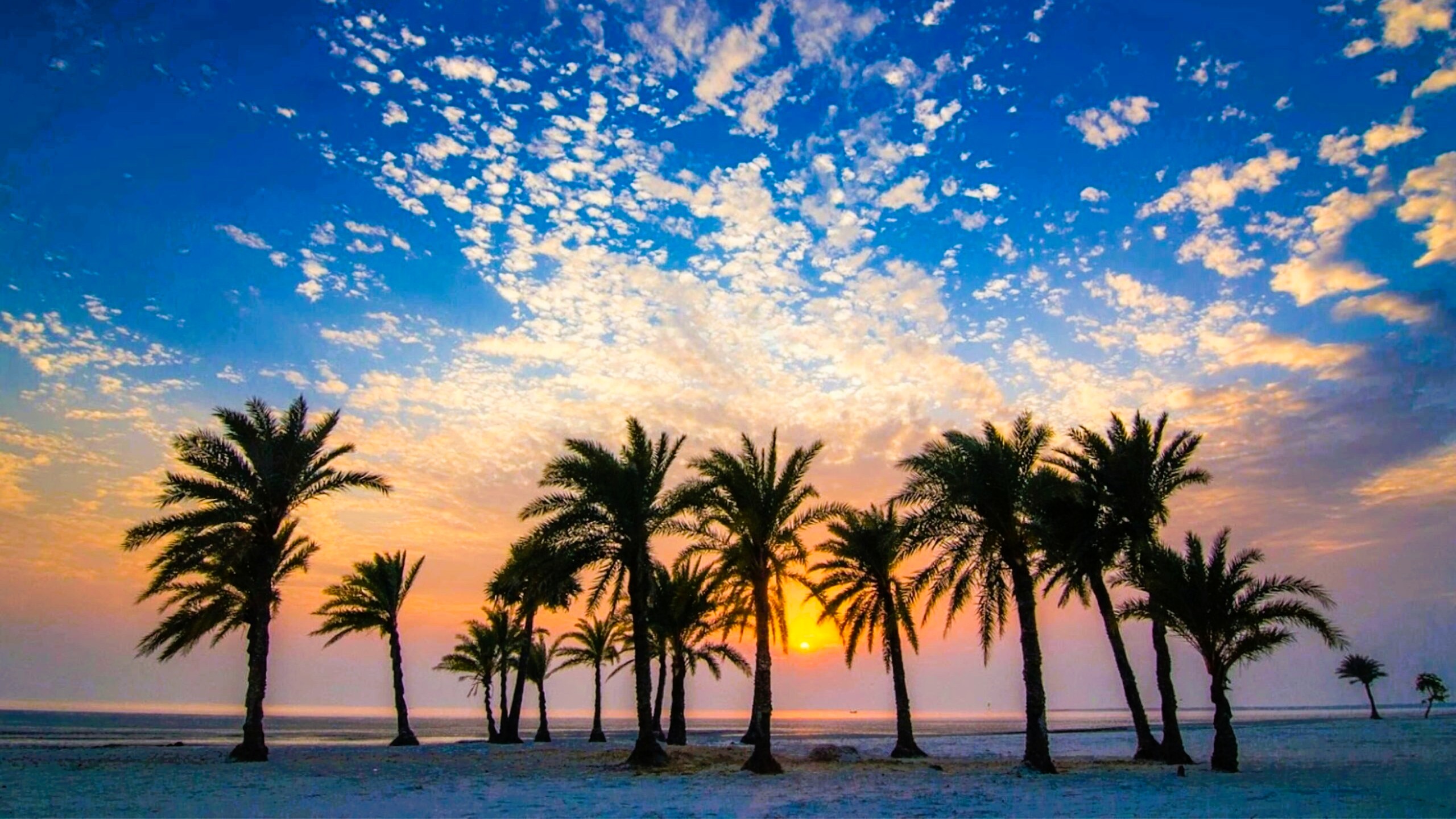 Nijhum-Dwip-Hatiya-Kuhudak-6-scaled